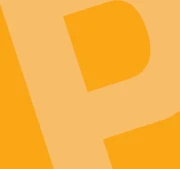 Die Pflegepartner Düsseldorf GmbH Logo