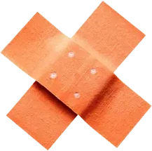 Beate`s Pflegeservice Logo
